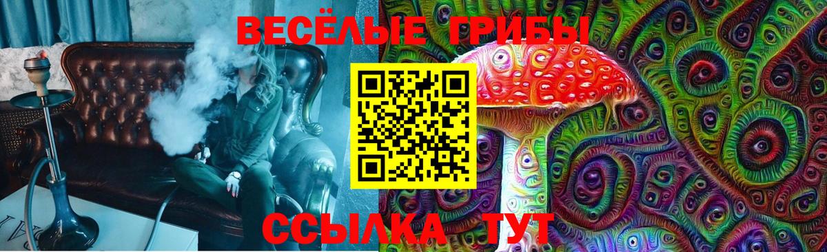 Галлюциногенные грибы мухоморы Спасск-Дальний
