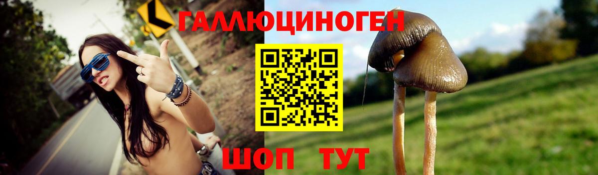 Галлюциногенные грибы MAGIC MUSHROOMS  Вход с VPN  Спасск-Дальний 